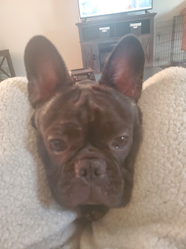 Car Wash «Paradise Car Wash», reviews and photos, 1010 N Bridge St, Yorkville, IL 60560, USA