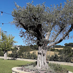 Photo n°5 de l'avis de Mery.a fait le 05/09/2020 à 17:41 sur le  Villa San Rocco à Fossombrone