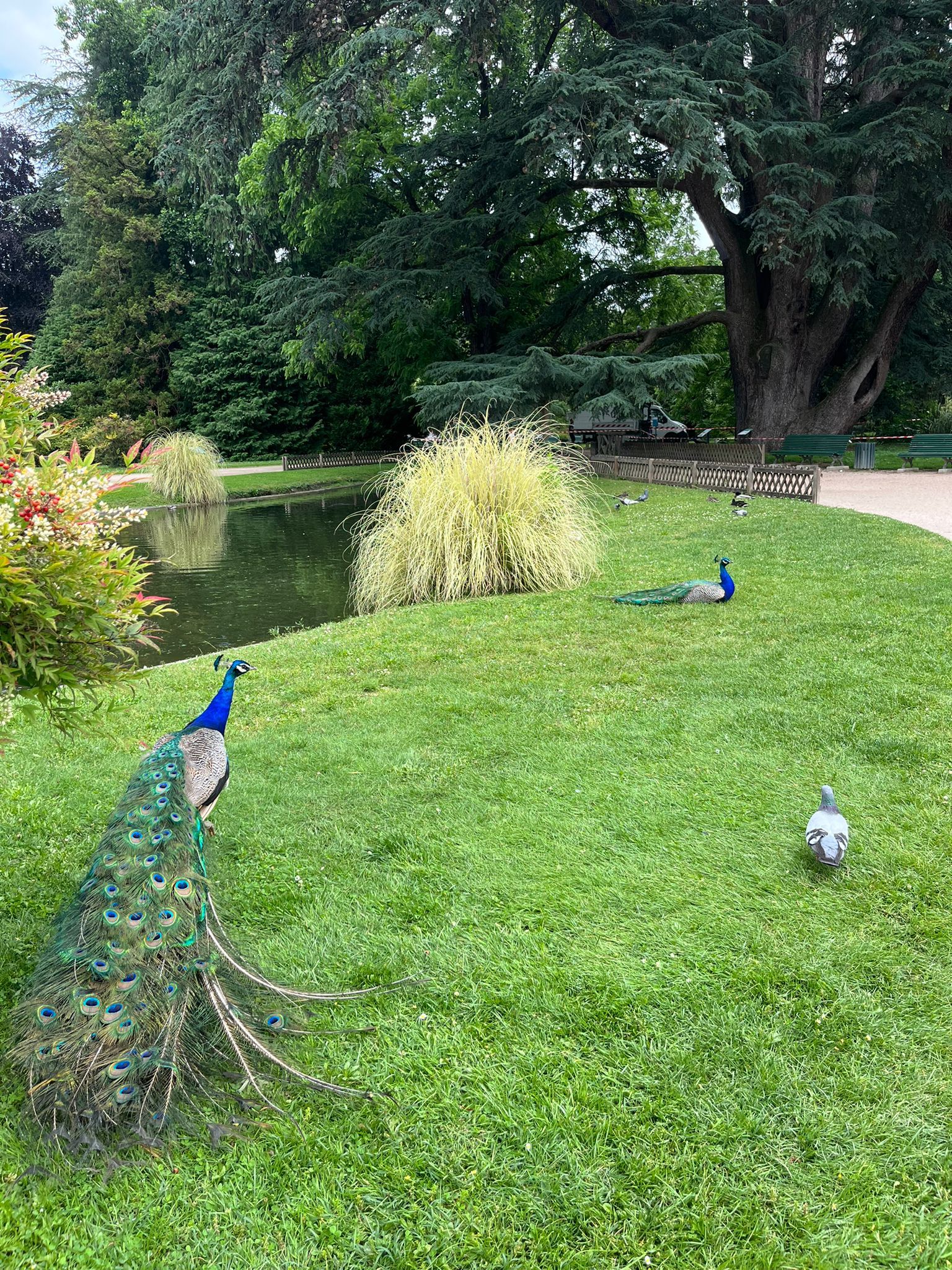 Photo n° 2 de l'avis de philippe.a fait le 17/06/2023 à 16:36