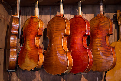 Olivier Gary Luthier à Mulhouse