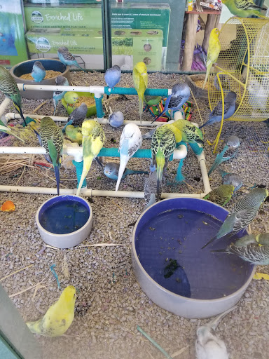 Pet Store «Petland», reviews and photos, 7030 Bandera Rd, San Antonio, TX 78238, USA