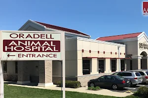 Oradell Animal Hospital image
