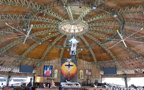 Parish and National Shrine of St. Padre Pio image