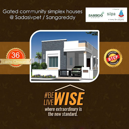 Google Maps image 11