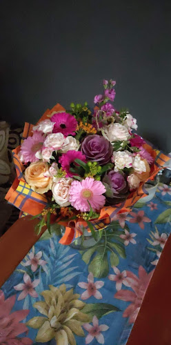 Wojska Polskiego 43d, 87-100 Toruń