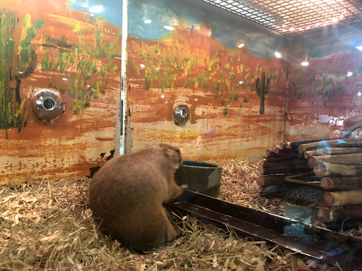 Pet Store «Pet Kingdom», reviews and photos, 4650 S Cleveland Ave, Fort Myers, FL 33907, USA