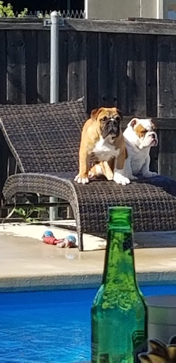 Pet Supply Store «Pet Supplies Plus», reviews and photos, 1031 Northwest Hwy, Garland, TX 75041, USA