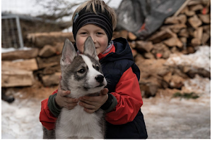 Iron Road Siberians - Husky Adventure Camps image