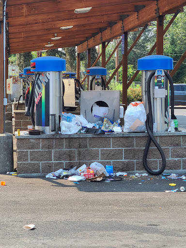 Car Wash «Elephant Car Wash», reviews and photos, 4300 A St SE, Auburn, WA 98002, USA