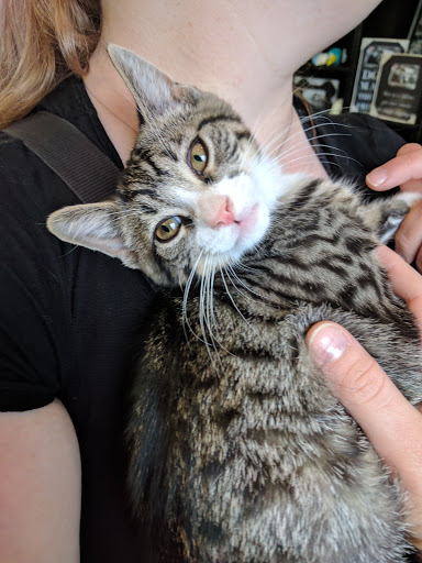 Pet Store «Pet Valu», reviews and photos, 307 Bayonne Crossing Way, Bayonne, NJ 07002, USA