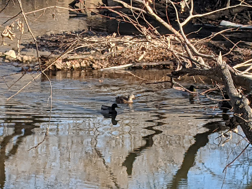 Park «Parr Park Sprayground», reviews and photos, 3010 Parr Ln, Grapevine, TX 76051, USA