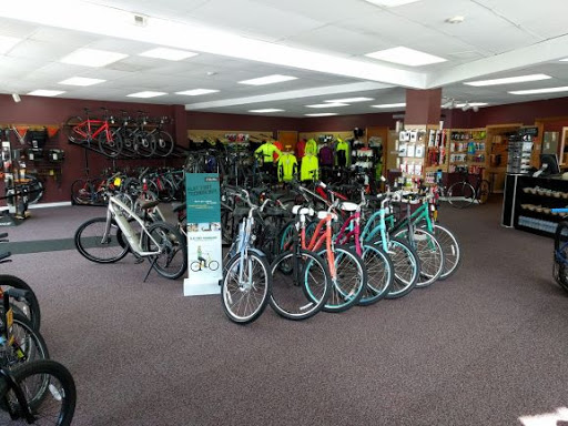 Bicycle Store «Pedal Power», reviews and photos, 855 Mill St, East Berlin, CT 06023, USA