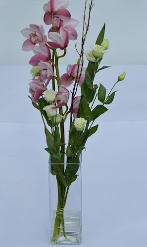 Rozen- en orchideeënkwekerij Lissens - Aalst