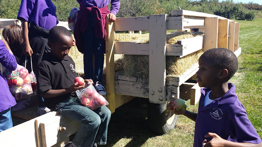 Orchard «George Hill Orchards», reviews and photos, 582 George Hill Rd, South Lancaster, MA 01561, USA