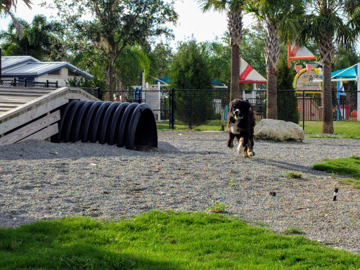 Park «Tarpon Springs Splash Park», reviews and photos, 508 Live Oak St, Tarpon Springs, FL 34689, USA