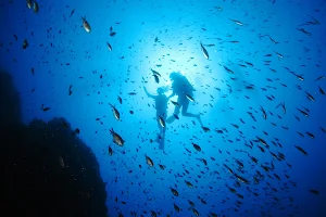 Passion Scuba Diving psdiving image