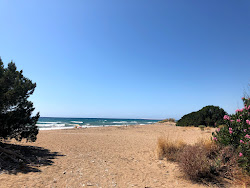 Apollo Camping beach'in fotoğrafı - rahatlamayı sevenler arasında popüler bir yer