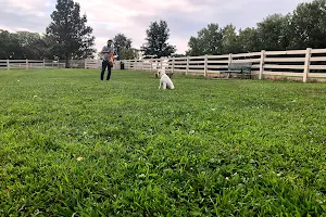 Brooksedge Park Bark Park image