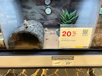 Petco - Photo 7 - Car repair in Fontana, CA, Riverside