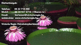 Victoria Regia Vízinövénykertészet