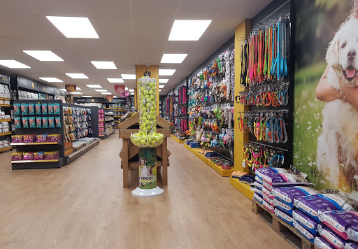 MASCOTAS 1000 - Barcelona