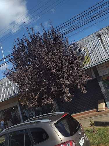 Opinii despre Librería Absa în Rio Bueno - Librería