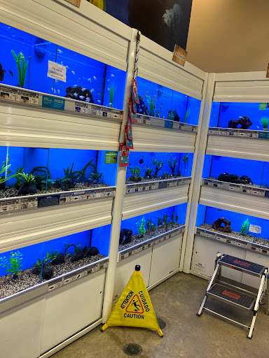 Pet Supply Store «Petco Animal Supplies», reviews and photos, 8161 Beverly Blvd, Los Angeles, CA 90048, USA