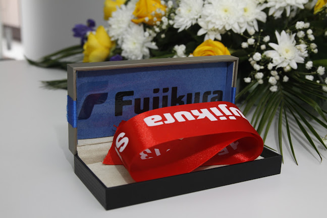 Fujikura Automotive Romania Oficial - Optica