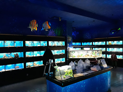 Pet Supply Store «Pet Expo Distributors», reviews and photos, 1800 Adams St, Mankato, MN 56001, USA