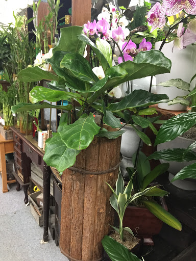 Florist «Rogers Park Florist», reviews and photos, 1415 W Morse Ave, Chicago, IL 60626, USA