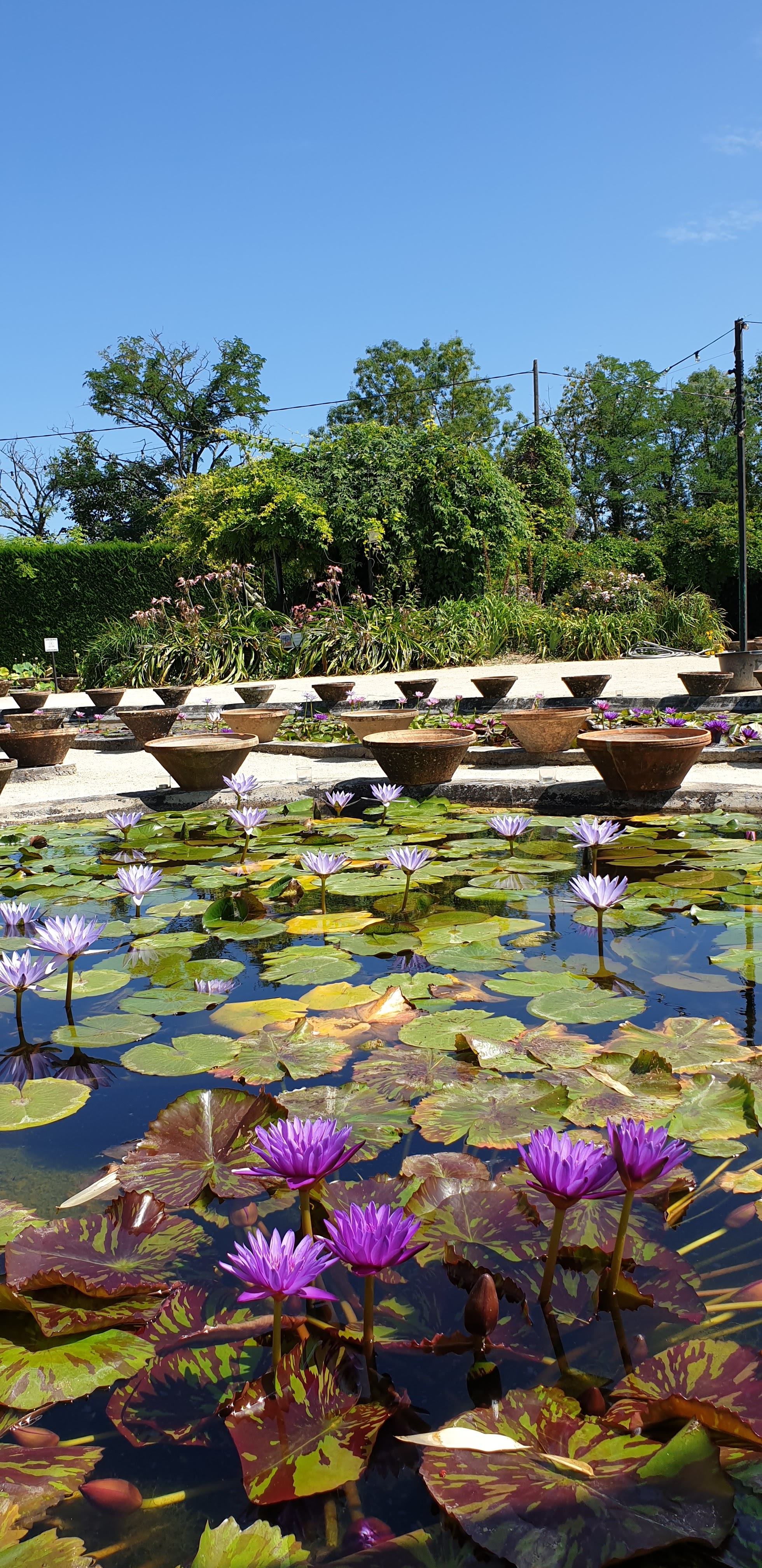 Photo n° 1 de l'avis de Lydie.a fait le 20/08/2021 à 14:08