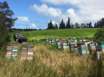 Big Island Bees