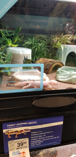 Pet Supply Store «PetSmart», reviews and photos, 5241 Monroe St, Toledo, OH 43623, USA