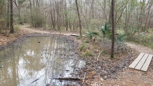 Nature Preserve «Spring Trails Preserve», reviews and photos, Claytons Bend, Spring, TX 77386, USA