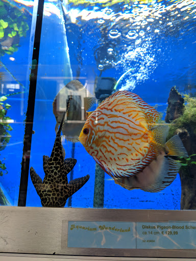 Aquarium Wunderland Services unter Trittau, 