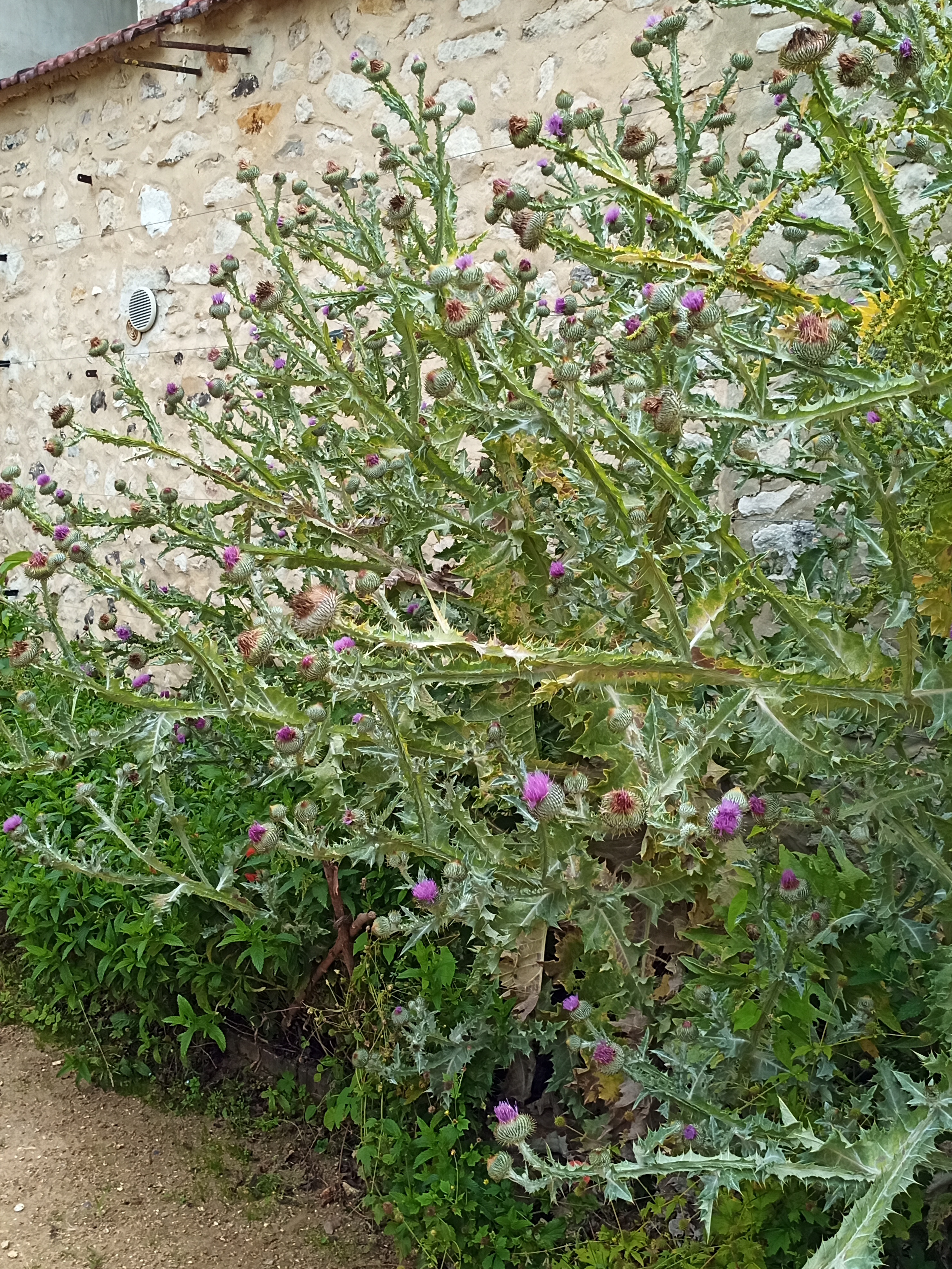 Photo n° 5 de l'avis de Maria.e fait le 09/07/2021 à 14:37