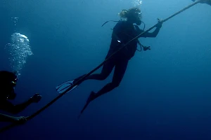 Black Marlin diving center image
