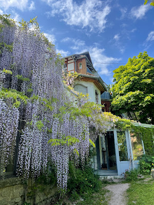 Le Manoir des Sens - Foret de Bergheim à Bergheim