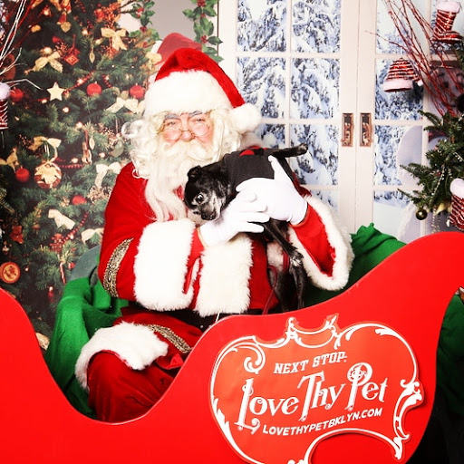 Pet Supply Store «Love Thy Pet», reviews and photos, 164 Union St, Brooklyn, NY 11231, USA