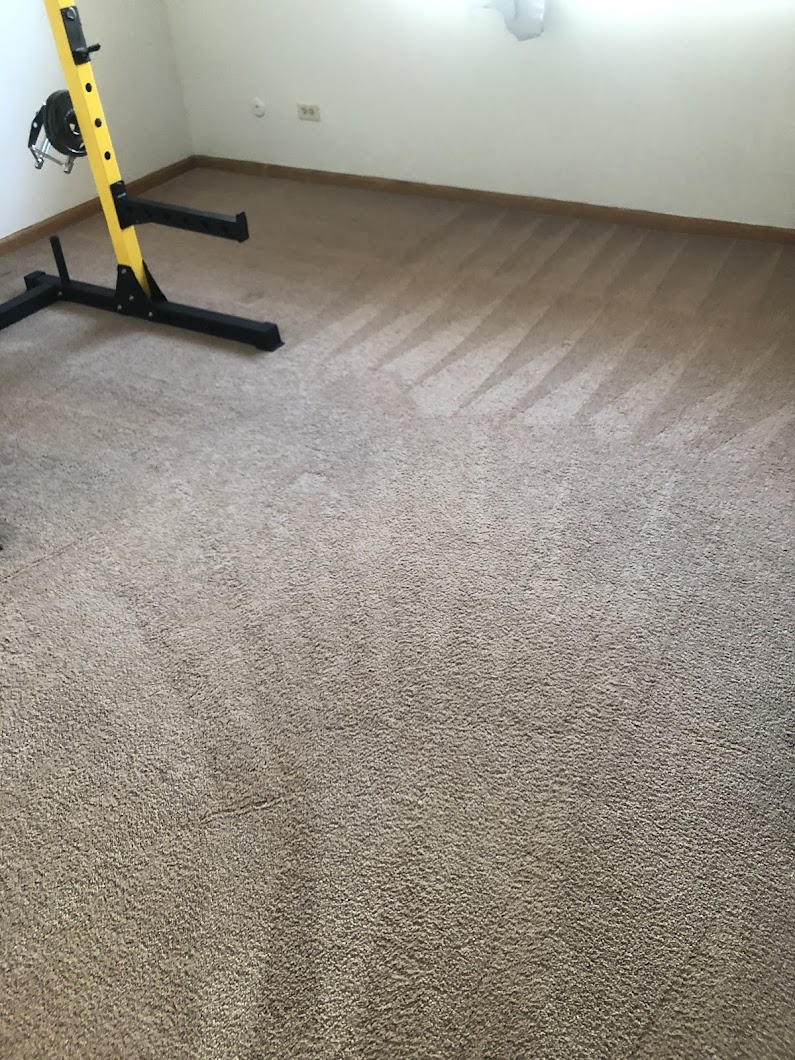 MB Prestige Upholstery and Carpet Cleaning