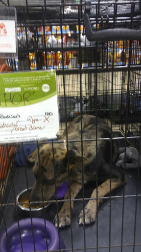 Pet Supply Store «PetSmart», reviews and photos, 5214 Blanche Moore Dr, Corpus Christi, TX 78411, USA