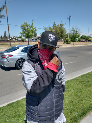 Auto Parts Store «AutoZone», reviews and photos, 3785 W Shields Ave, Fresno, CA 93722, USA