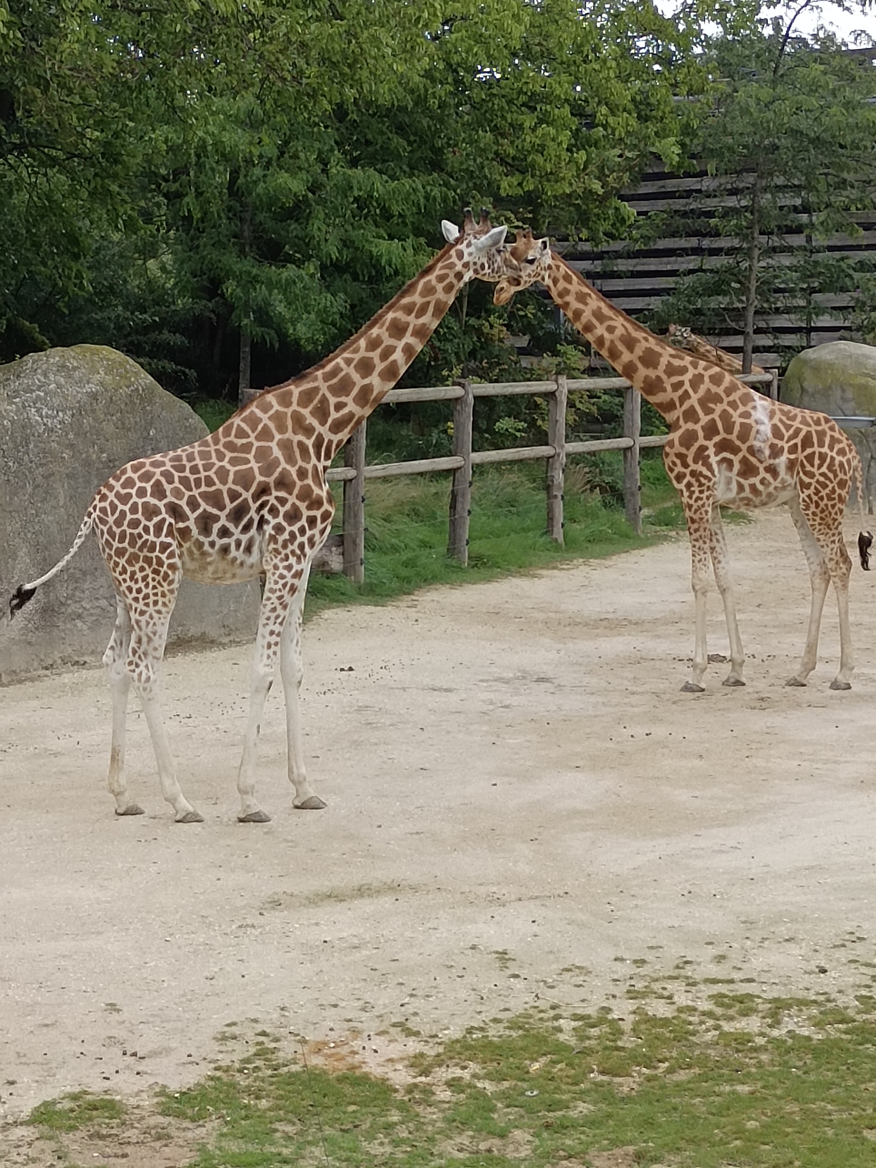 Photo n° 11 de l'avis de Suzy.a fait le 28/08/2023 à 21:34