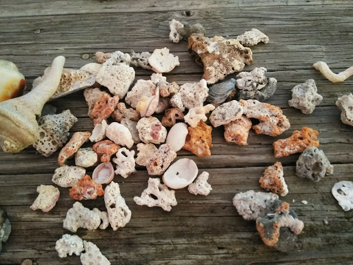 Golf Course «The Tides Golf Club», reviews and photos, 11832 66th Ave N, Seminole, FL 33772, USA