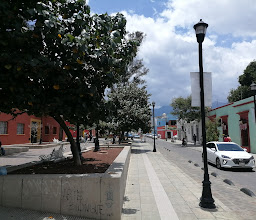 Jardín Carbajal photo