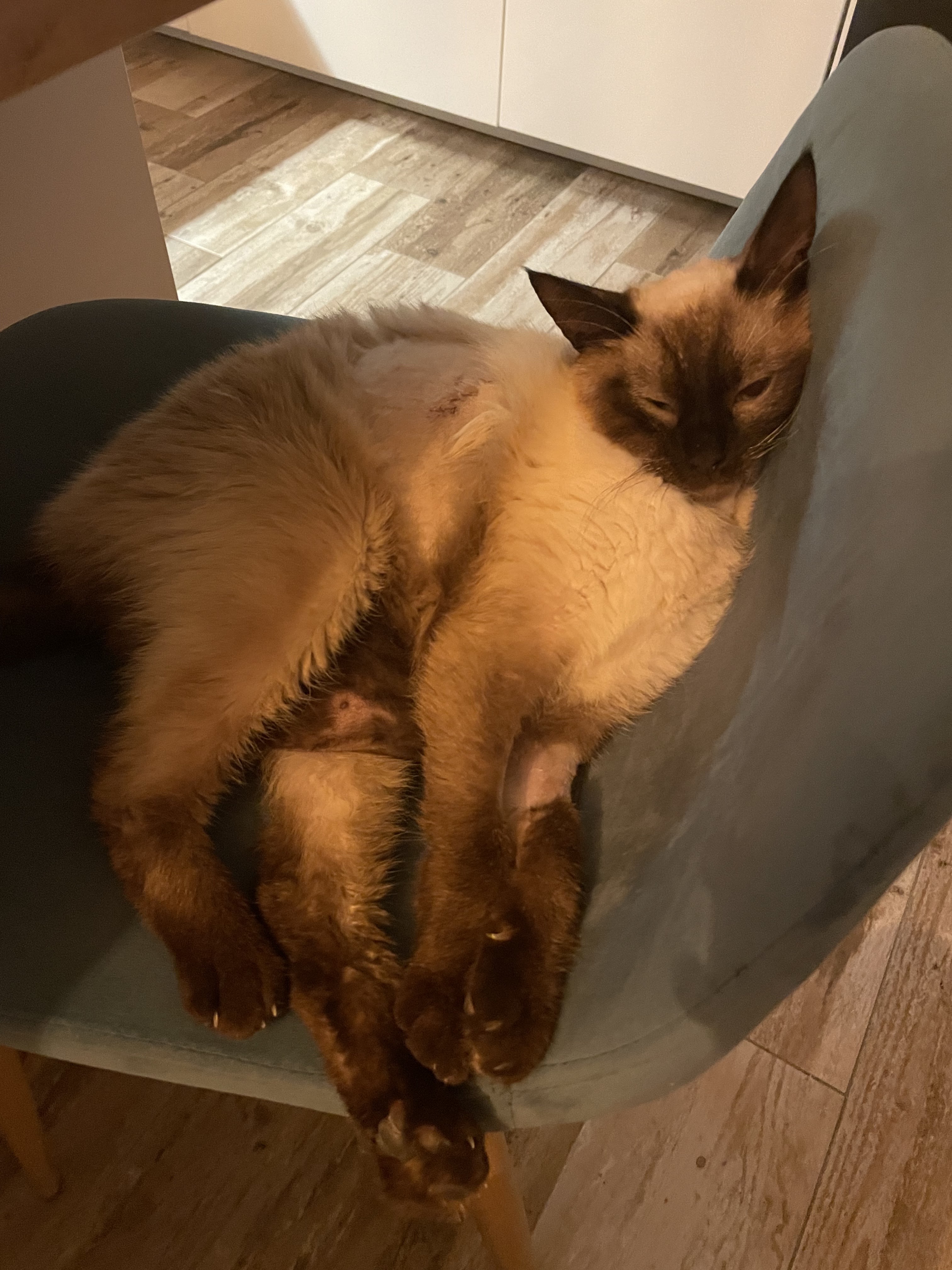 Photo n° 1 de l'avis de Remars.i fait le 13/07/2023 à 15:46