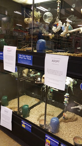 Pet Supply Store «PetSmart», reviews and photos, 181 Wilson Ave, Hanover, PA 17331, USA