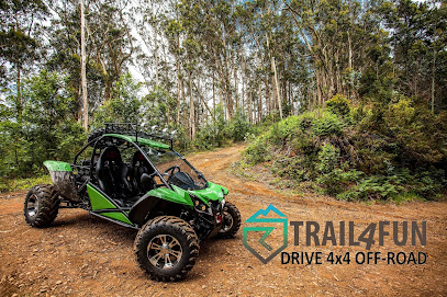 Trail4fun Buggy Madeira 4x4 drive
