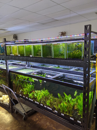 Fish Store «Aquatek Tropical Fish», reviews and photos, 8023 Burnet Rd # 1, Austin, TX 78757, USA