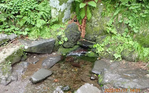 Kanro spring image